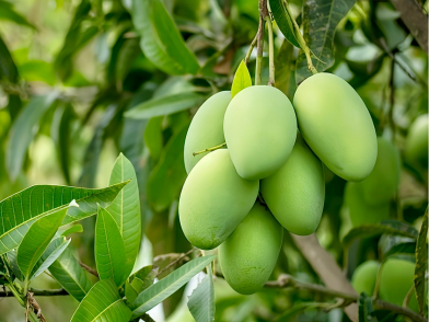 Thiết kế chưa có tên (14)