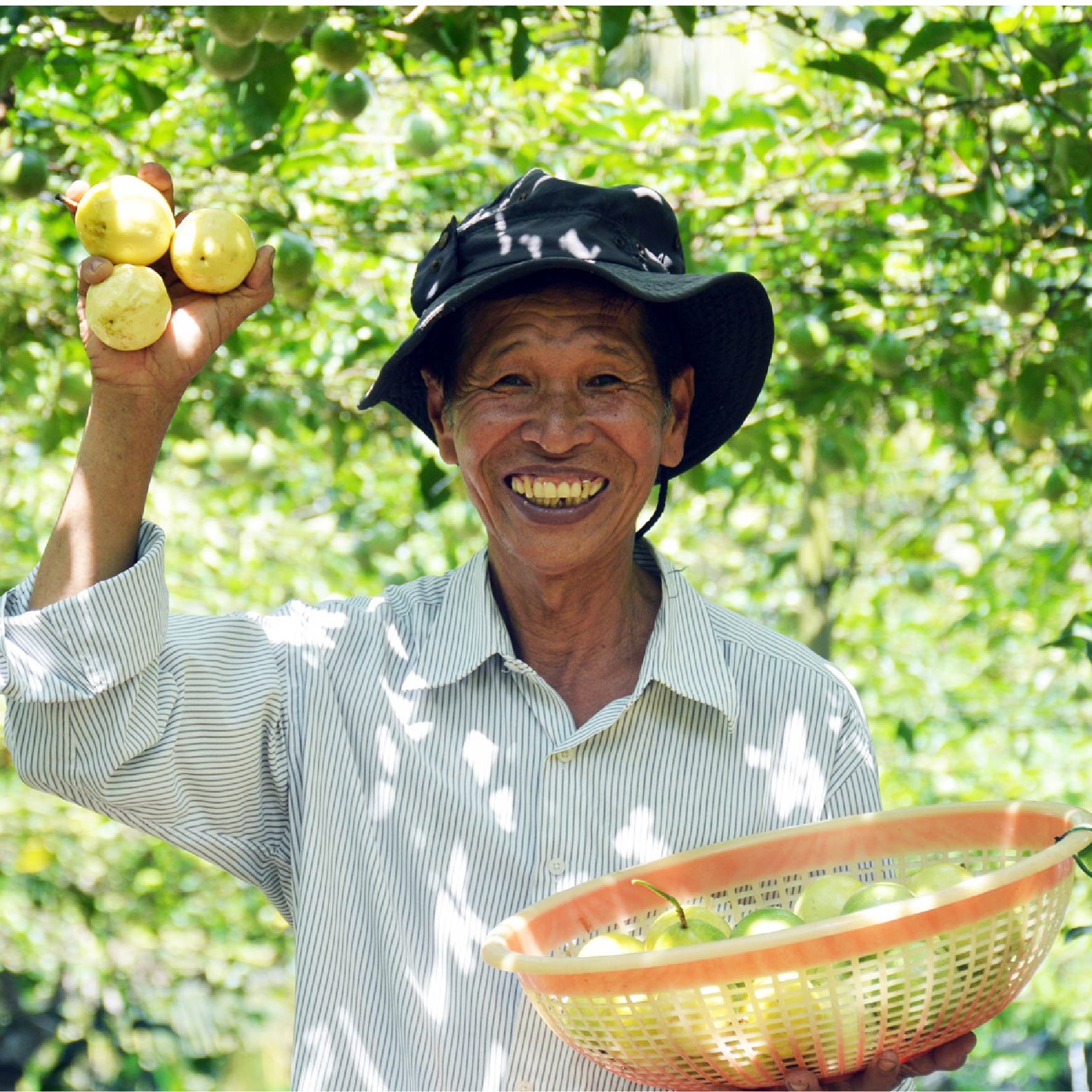 VÙNG NGUYÊN LIỆU
