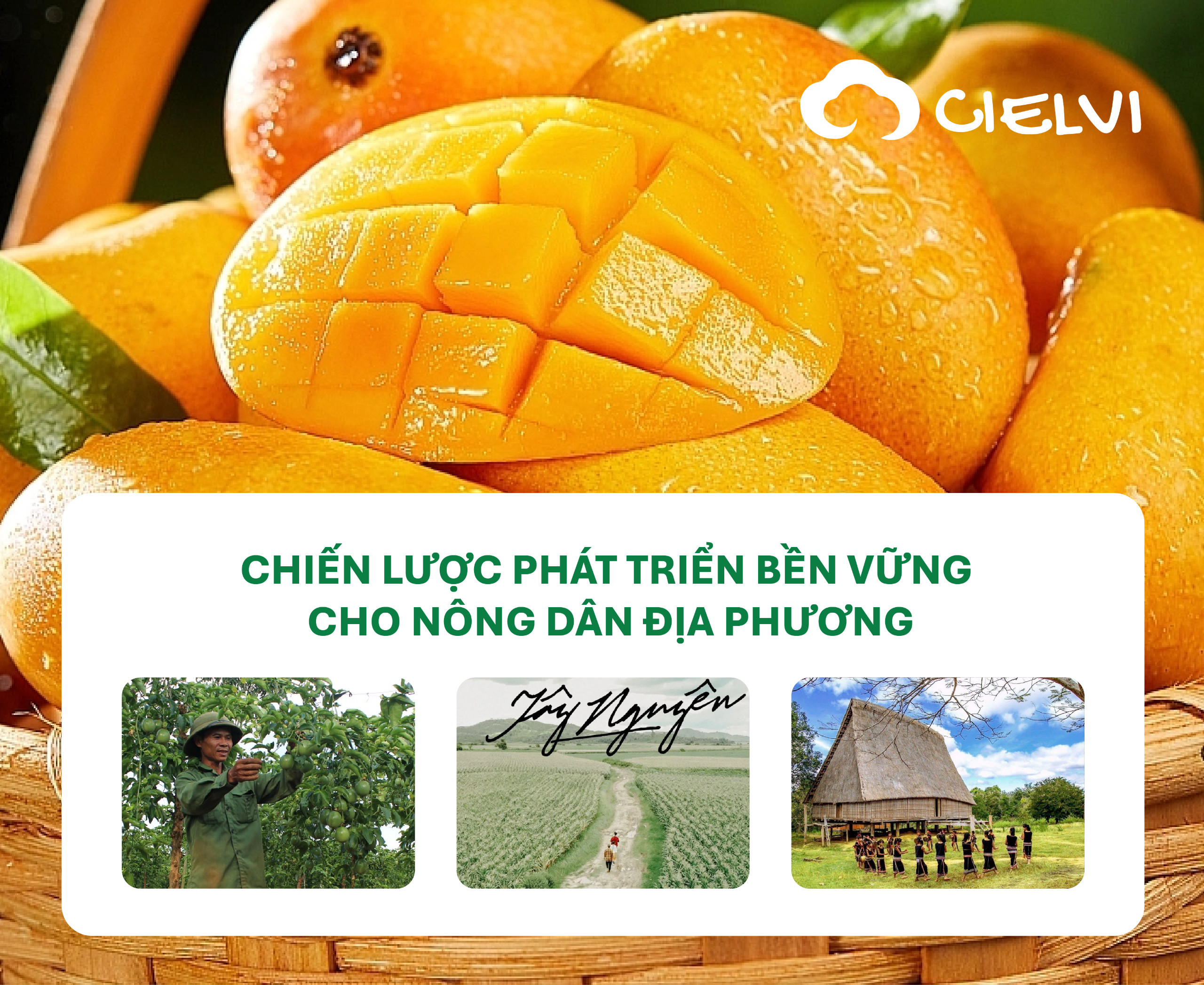 CIELVI và chiến lược phát triển bền vững cho nông dân địa phương