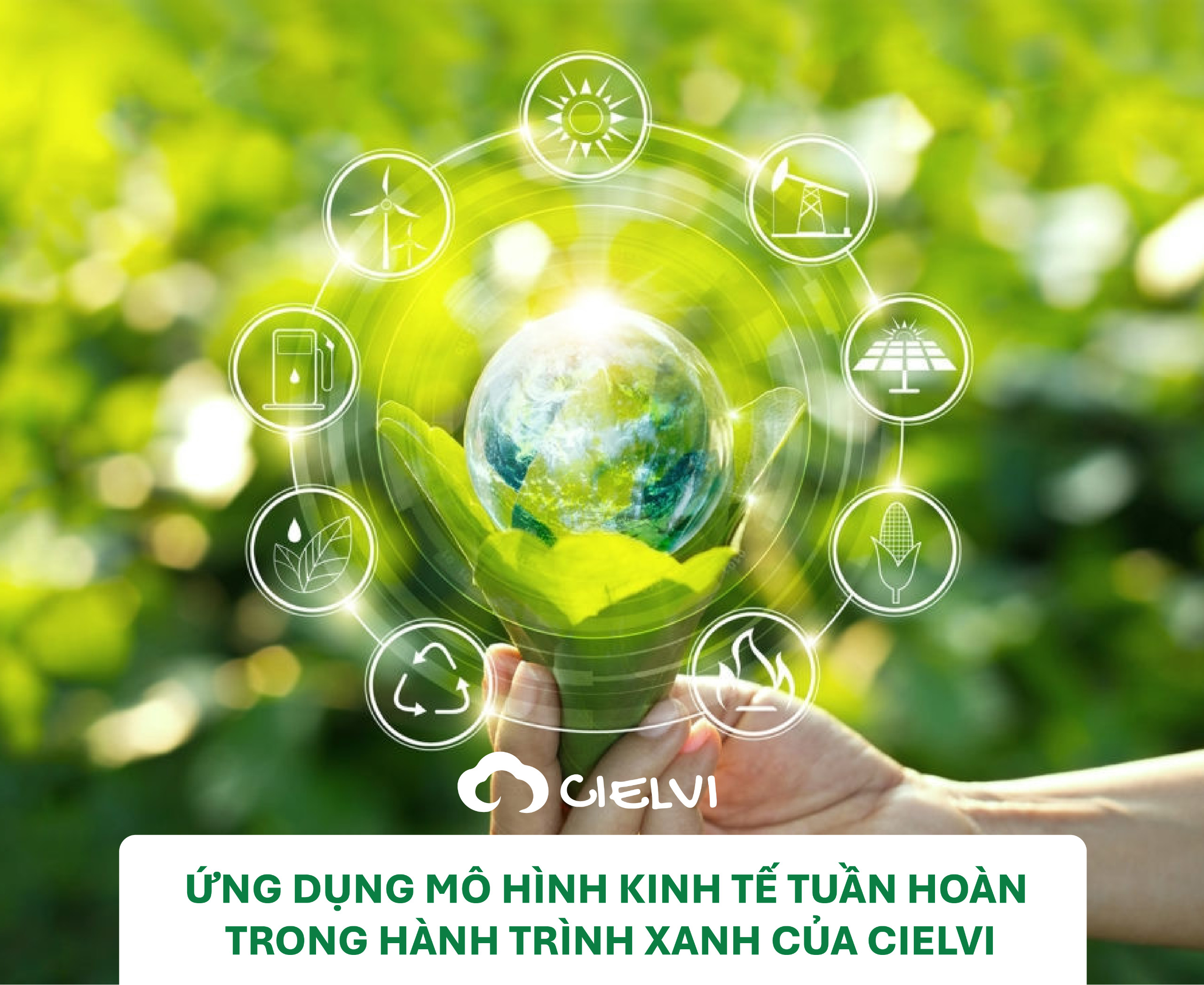 Ứng dụng mô hình kinh tế tuần hoàn trong hành trình xanh của CIELVI