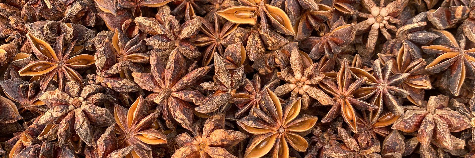 thiet-ke-chua-co-ten-2-2