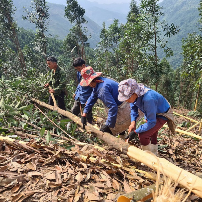 Chuyển đổi mô hình canh tác hữu cơ