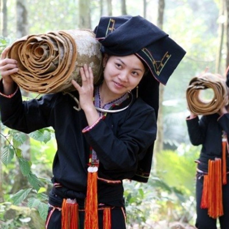 VÙNG NGUYÊN LIỆU